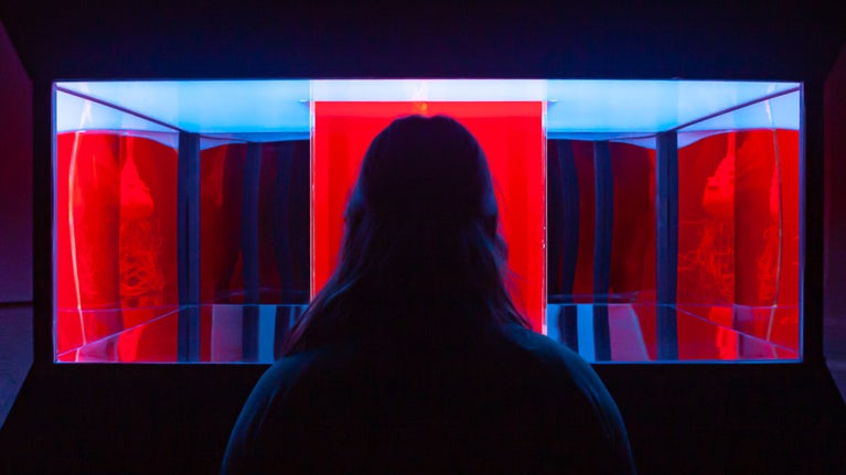A person stands in front of a vibrant red and blue illuminated display, creating a striking visual contrast.